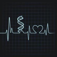 heart DNAsm.jpg